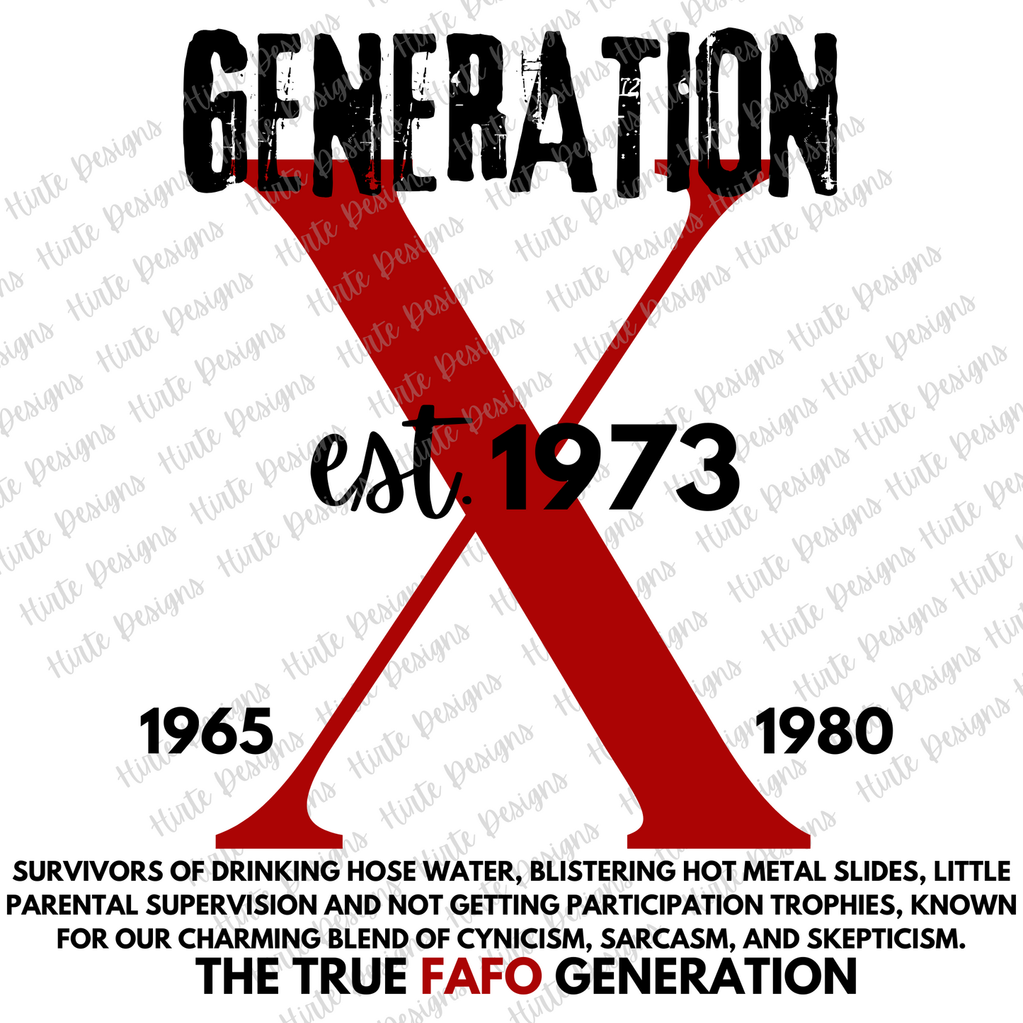 Generation X FAFO Digital Design Choice of Birth Year 1965 to 1980
