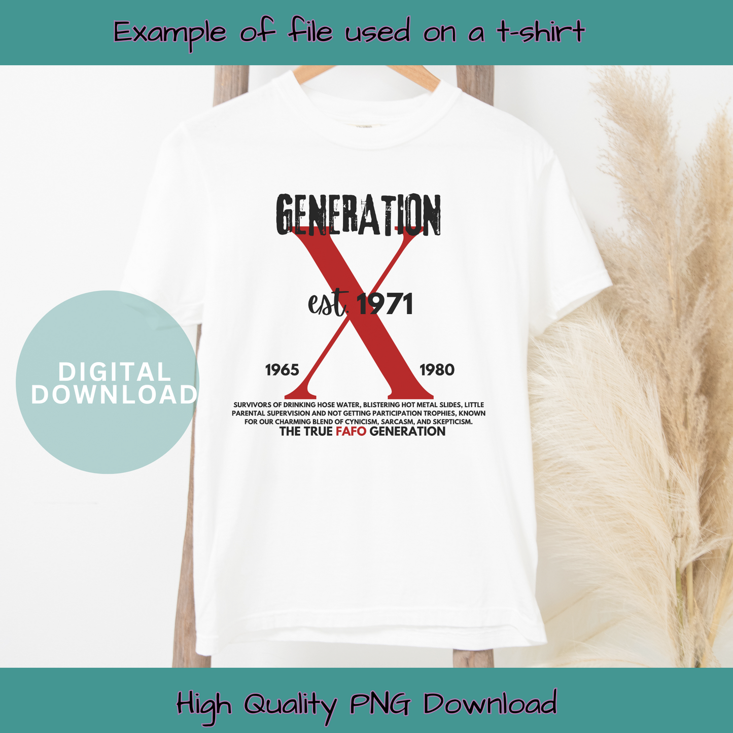 Generation X FAFO Digital Design Choice of Birth Year 1965 to 1980