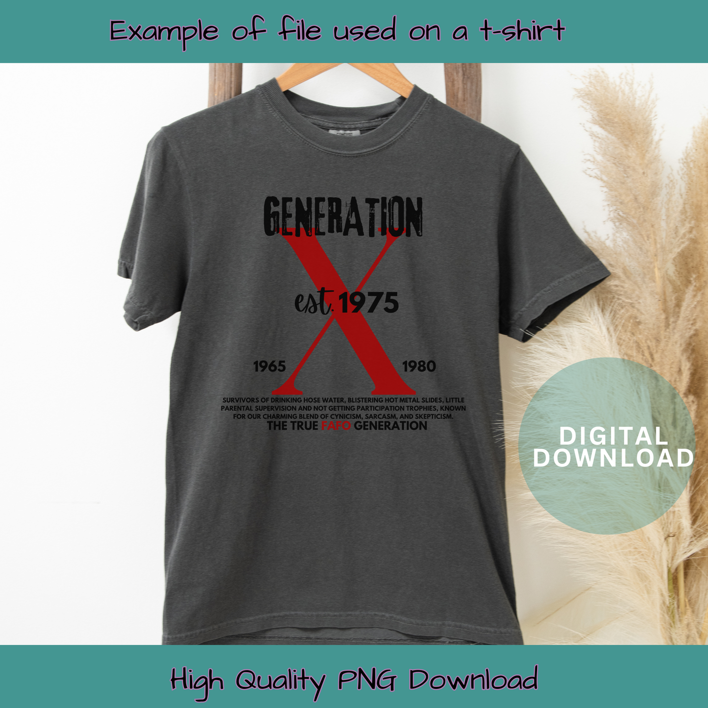 Generation X FAFO Digital Design Choice of Birth Year 1965 to 1980