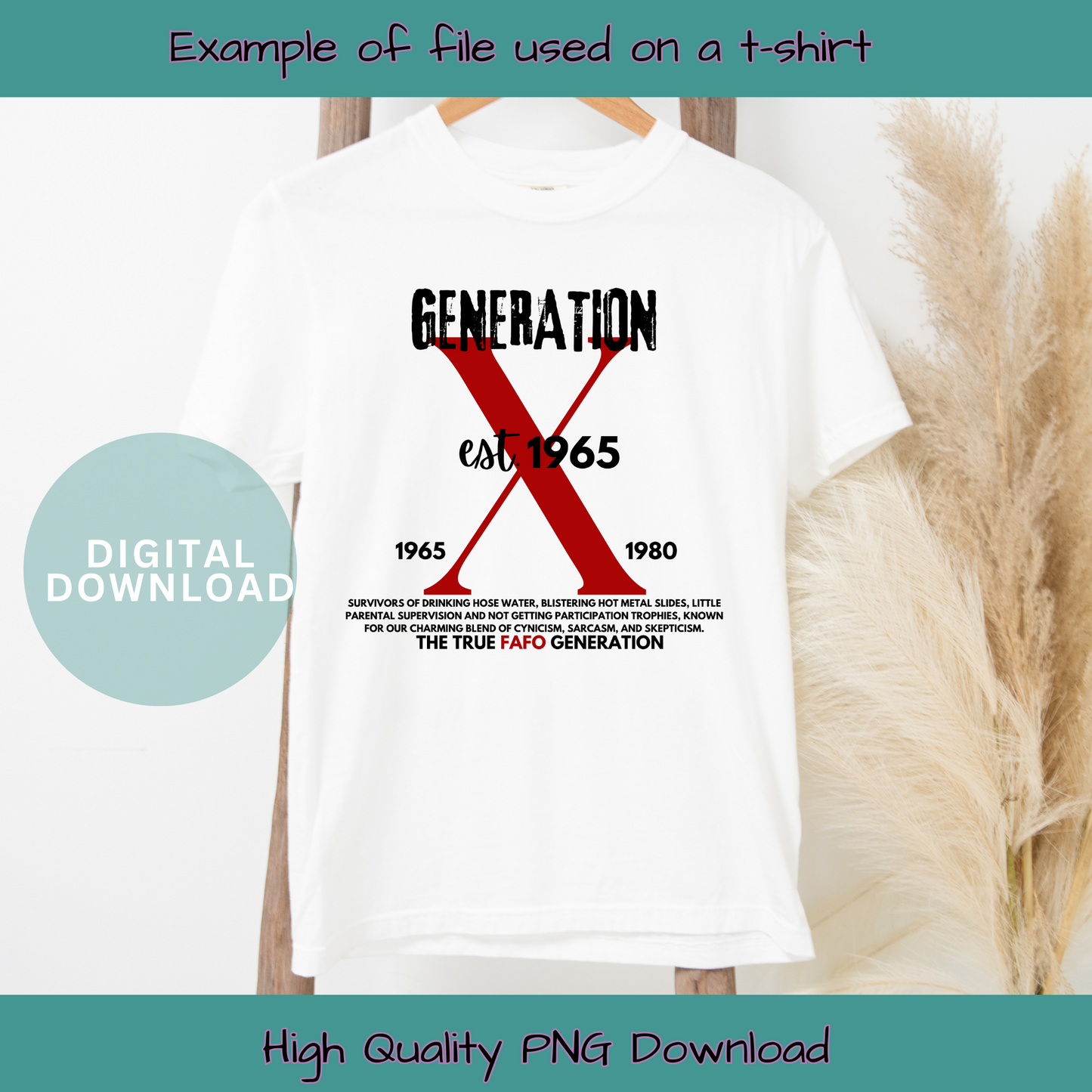 Generation X FAFO Digital Design Choice of Birth Year 1965 to 1980