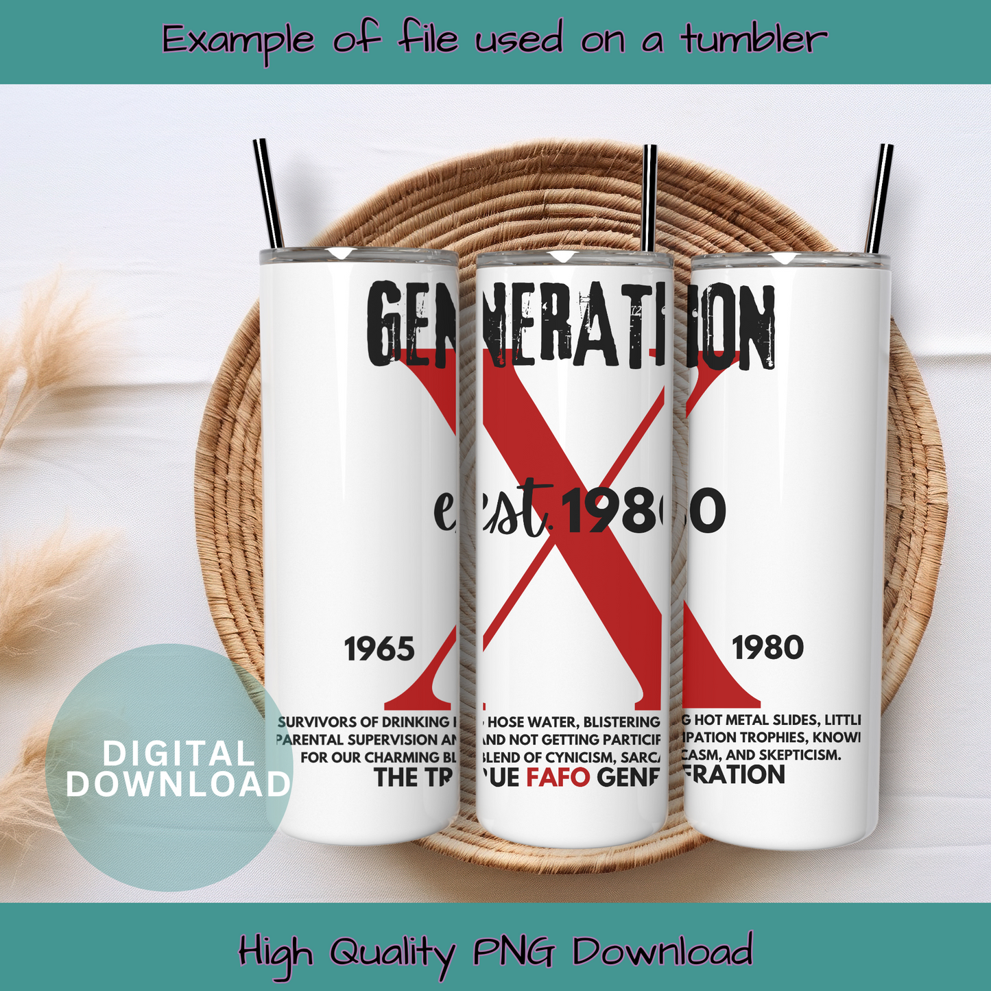 Generation X FAFO Digital Design Choice of Birth Year 1965 to 1980